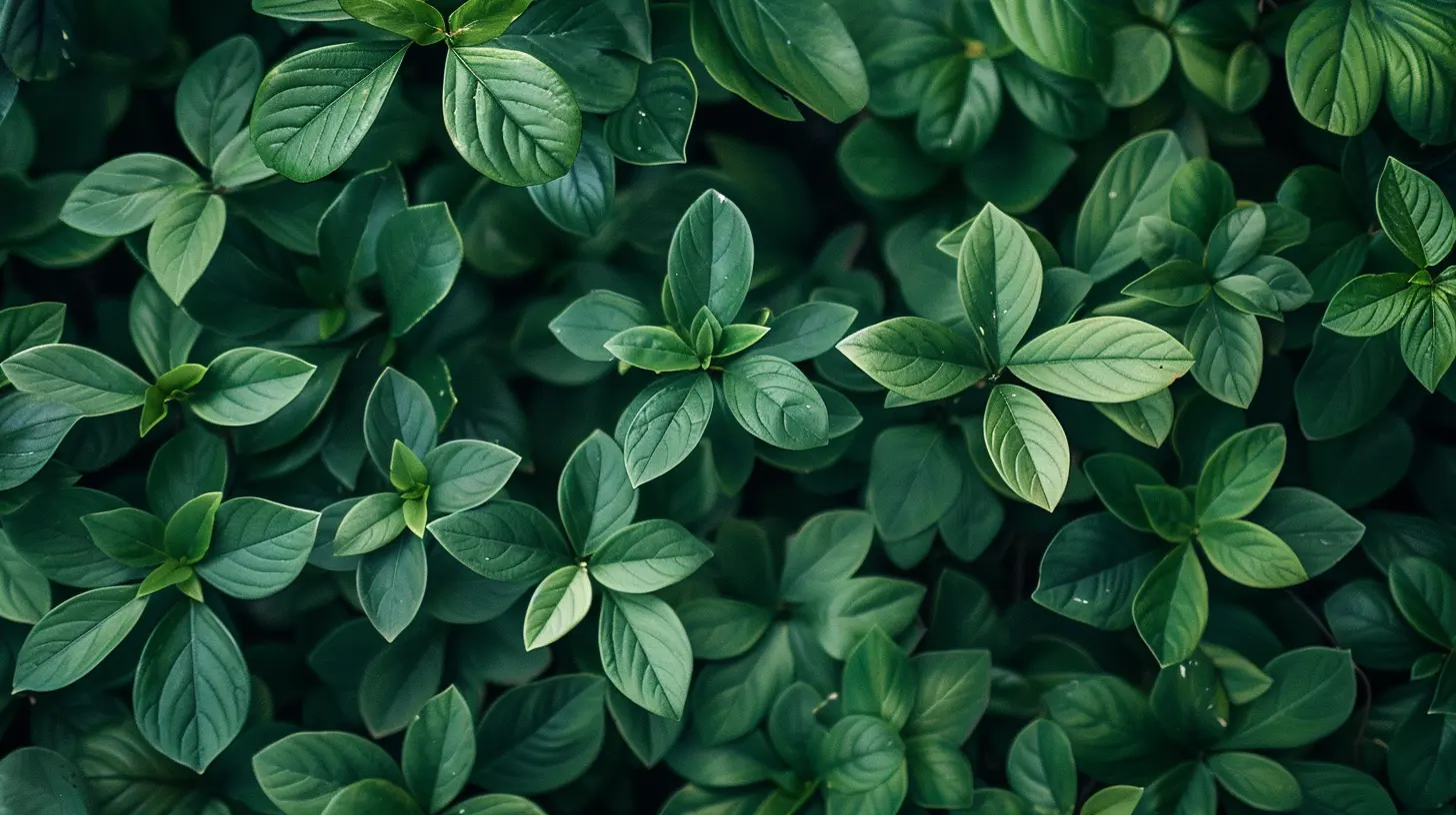 Sustainable Tech Startups You Need to Know About