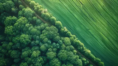 How Renewable Energy Tech is Reshaping the Grid