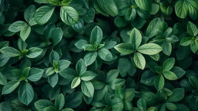 Sustainable Tech Startups You Need to Know About