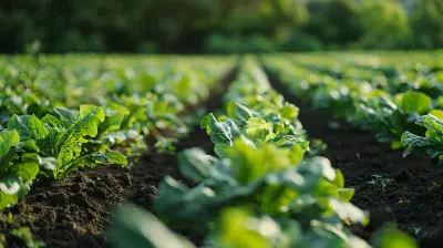 The Role of AI in Sustainable Agriculture