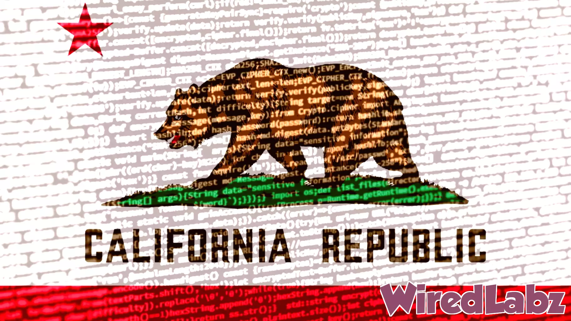 California Welcomes New Chief Technology and Innovation Officer