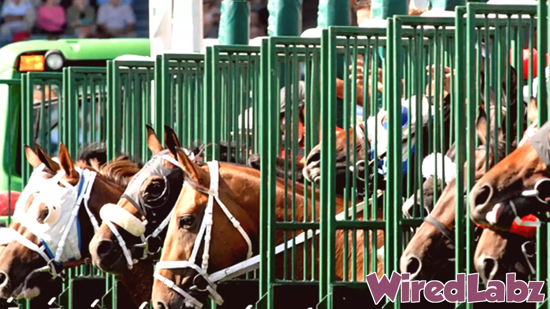 Defendants Respond to Allegations in CAW Lawsuit