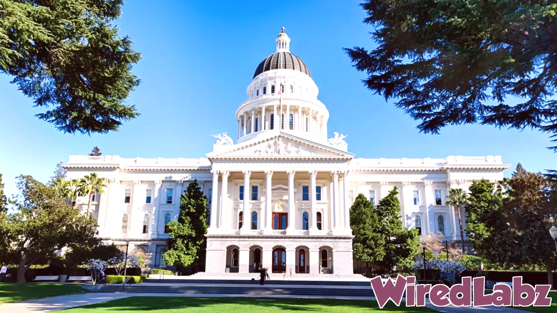 Exploring the effects of technology on the lives of boys and men in California