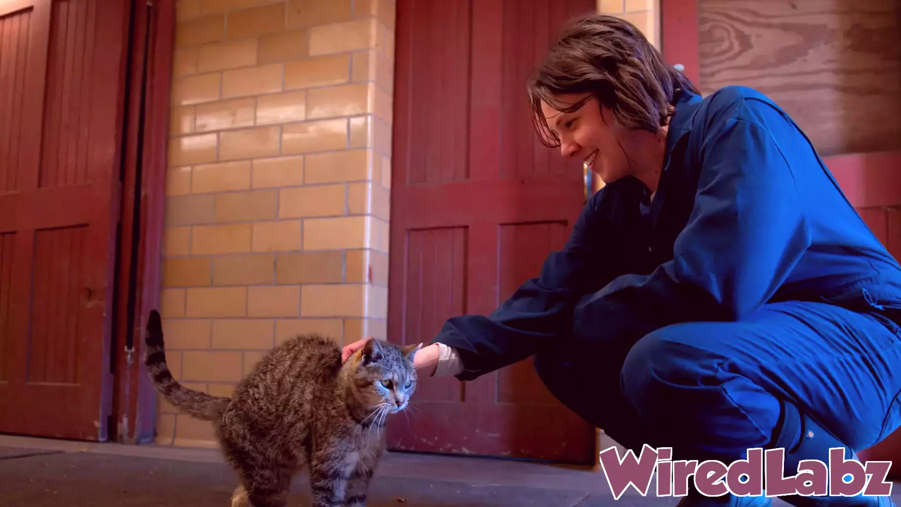 Former Philly Pretzel Factory Owner Successfully Transitions to Life in Veterinary Technology