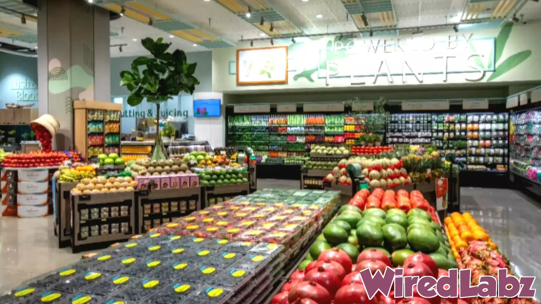 Gelson’s Markets Enhances Store Operations Through Technology Partnership