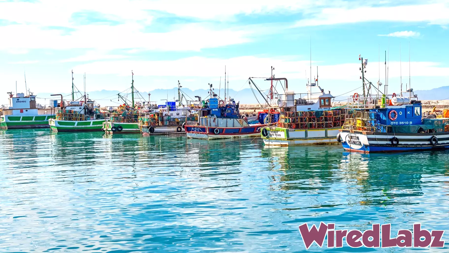 **Harnessing Technology for a Sustainable Fishing Future**