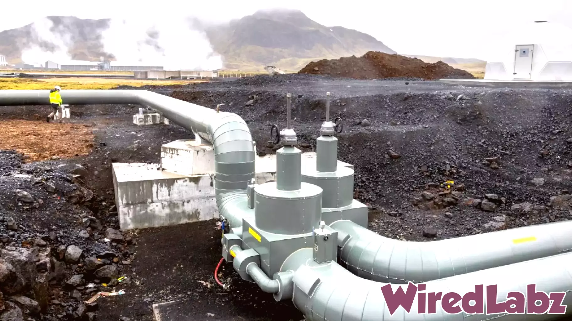 Innovations in Carbon Removal and Pain Measurement Technologies