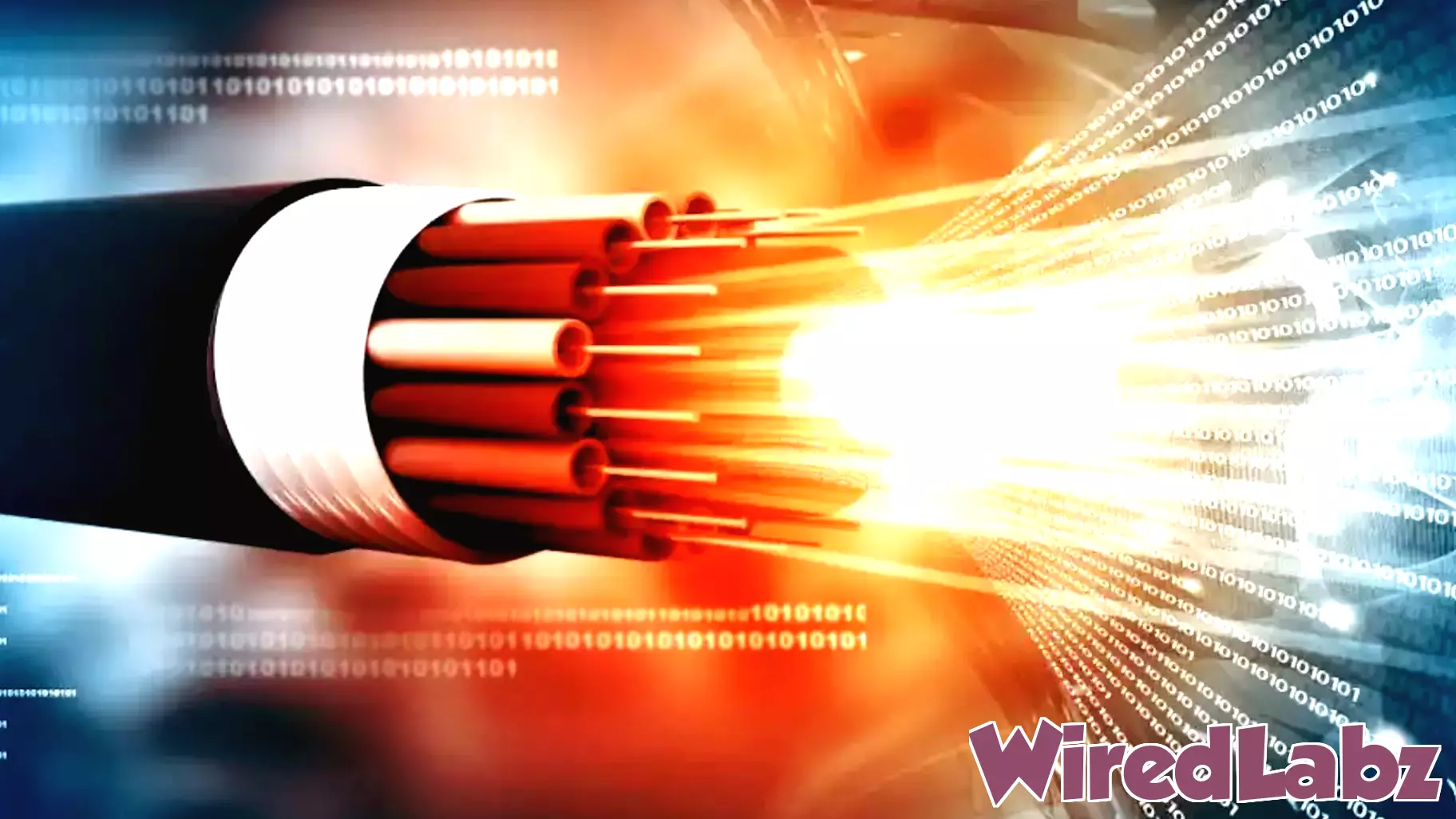 Japan Achieves Record-Breaking Internet Speed with Innovative Fiber Optic Technology
