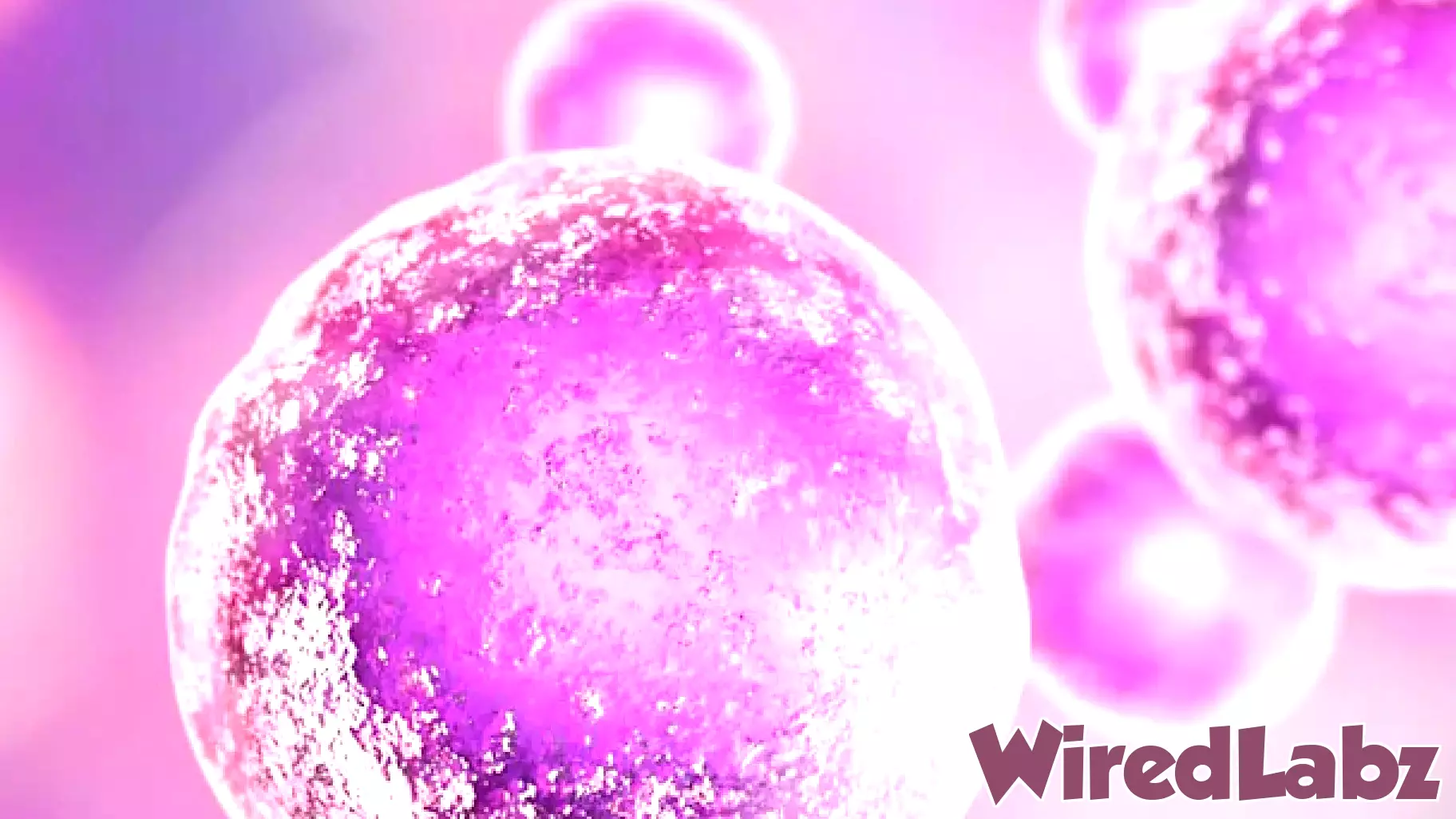 Lisata Therapeutics Forms Strategic Alliance with Catalent for ADC Development