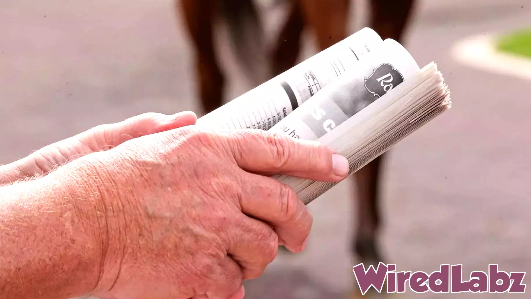 Major Shift in Online Wagering: DRF Bets Transformed into 1/ST Bet Pro