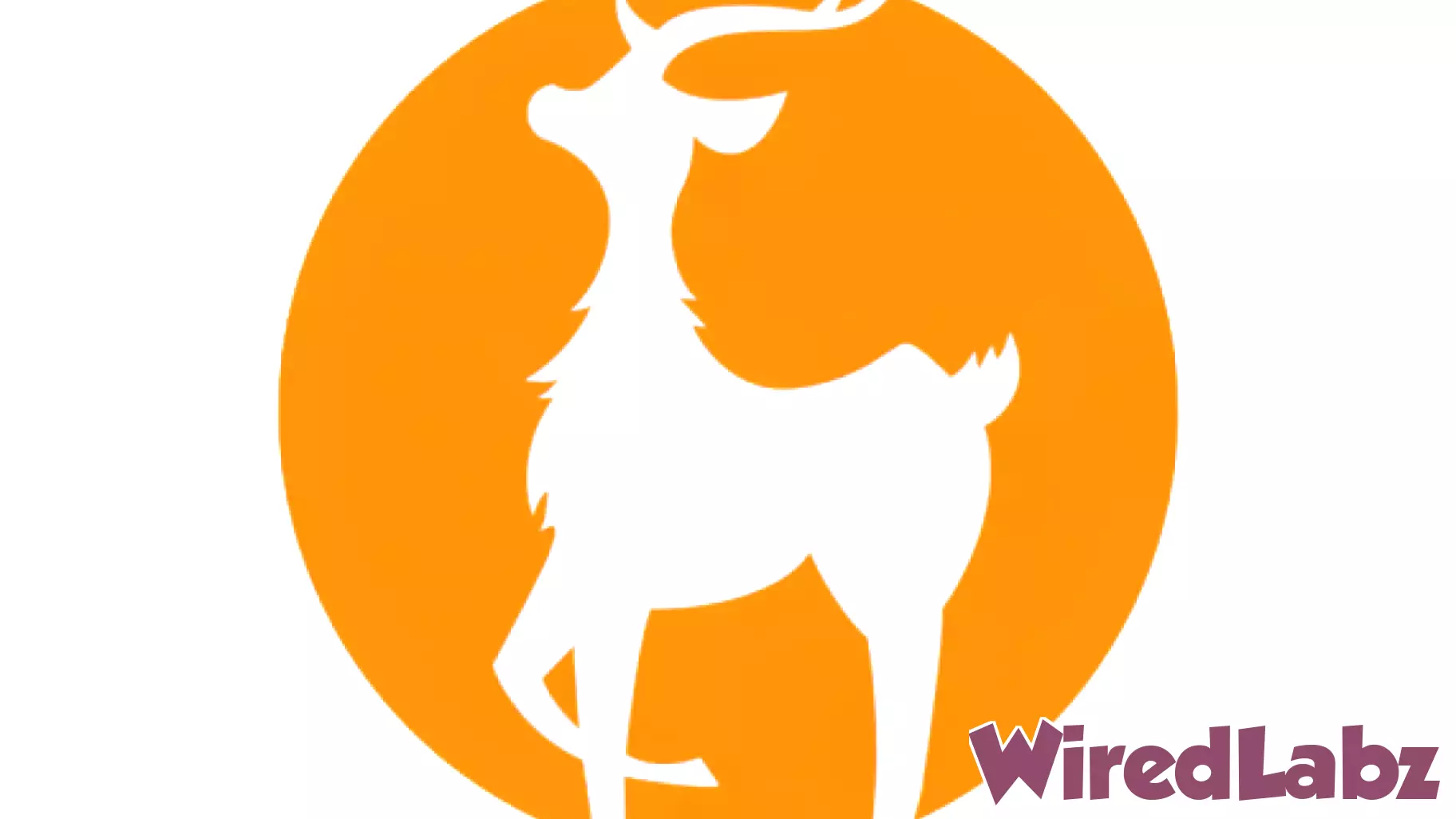 Meiwu to sell $2 shares and 1-year warrants in $14M raise