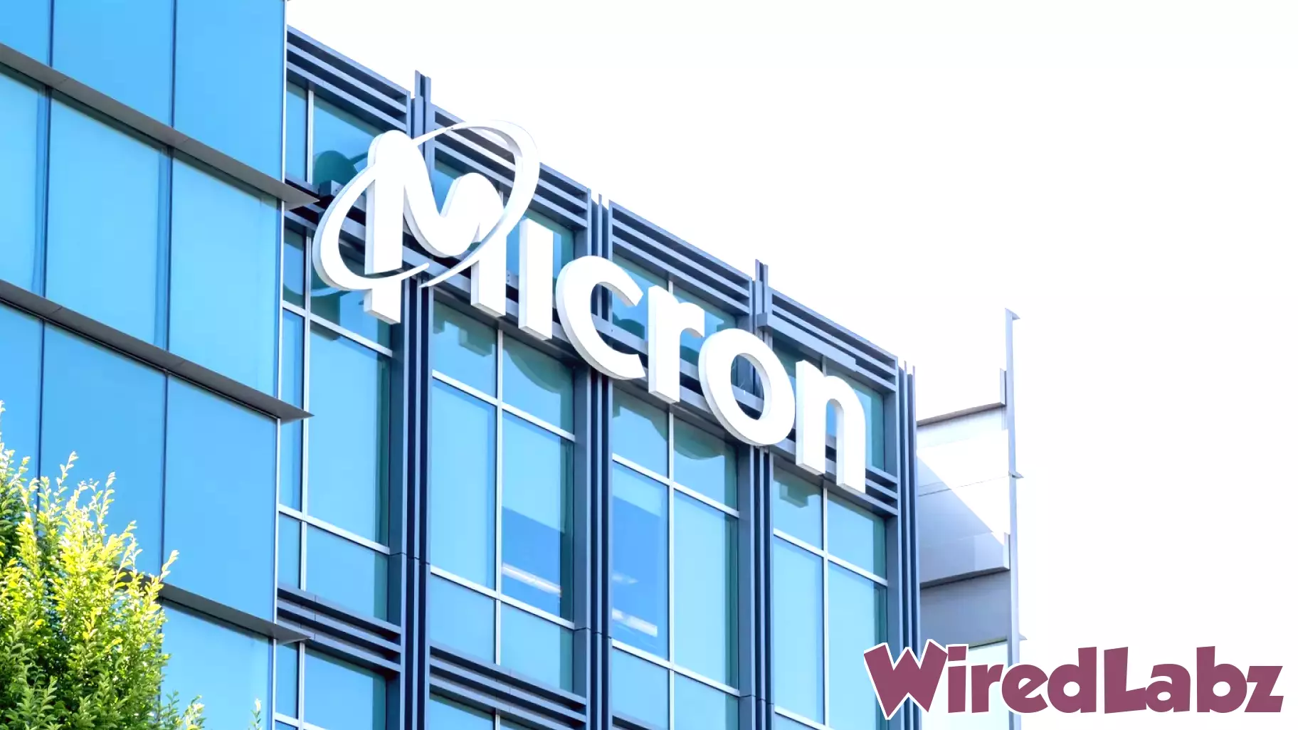 Micron Technology And Its Real Value