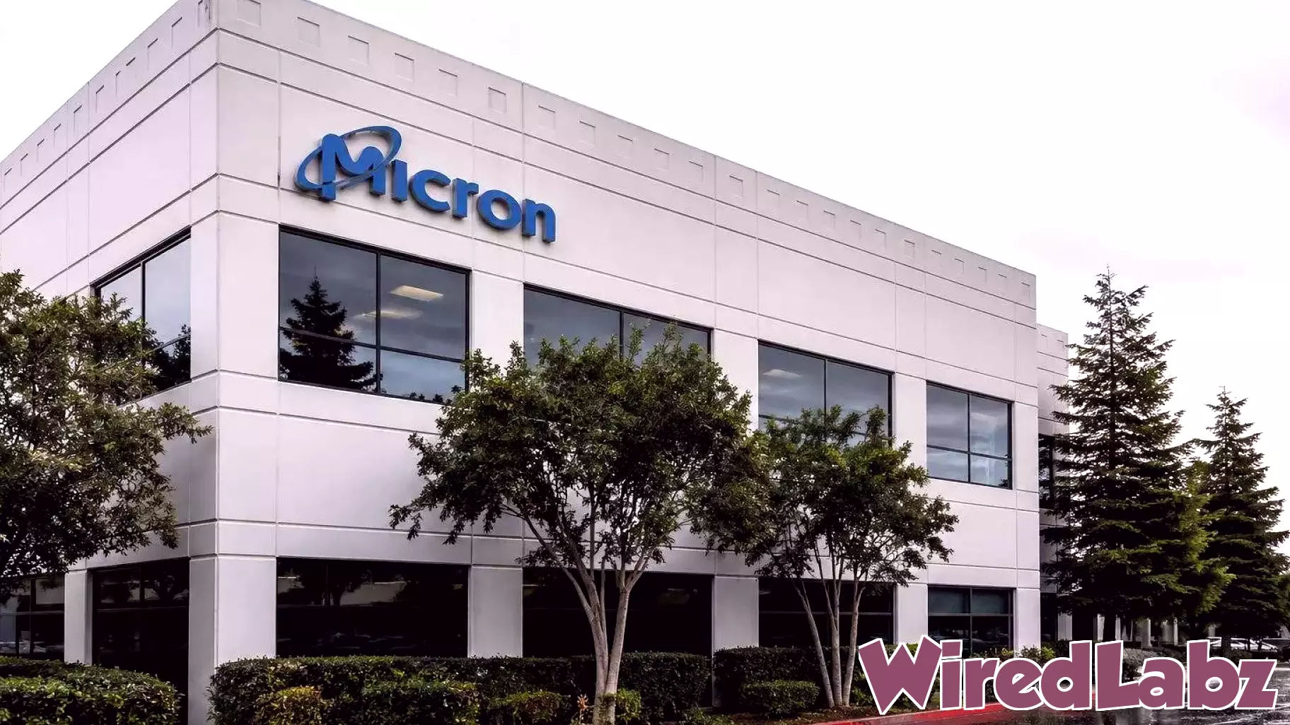 Micron Technology (NASDAQ:MU) Shares Drop 10.6% Even as Memory Market Remains Tight