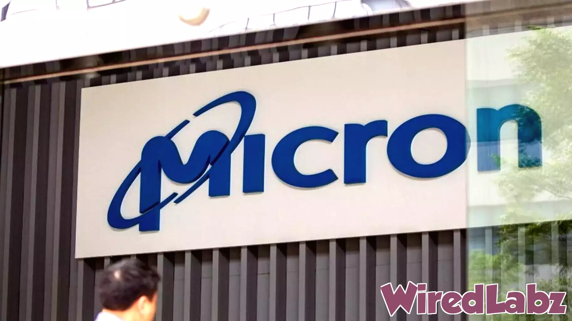 Micron Technology Stock Sees 8% Surge Amid Positive Outlook