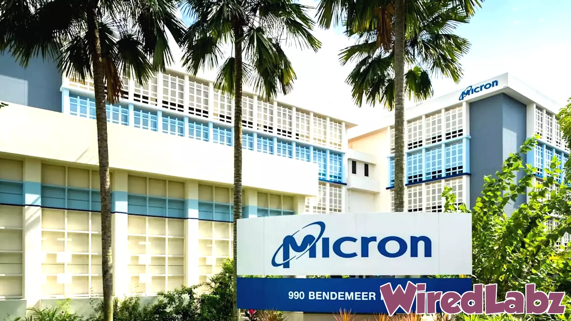 Prediction: Micron Technology Stock Is Going to $3,900 in 1 Year After Its Blowout Quarter