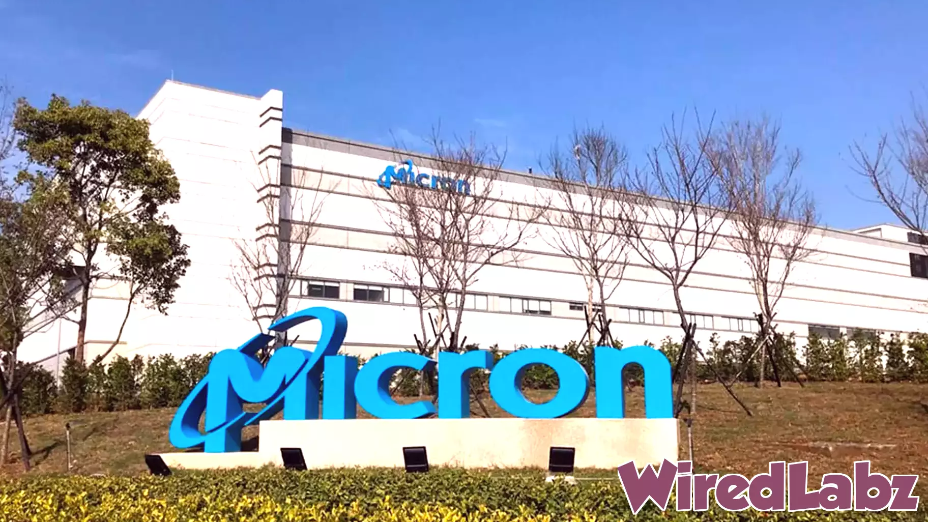 Prediction: Micron Technology Stock Will Skyrocket to $2,000 in 1 Year