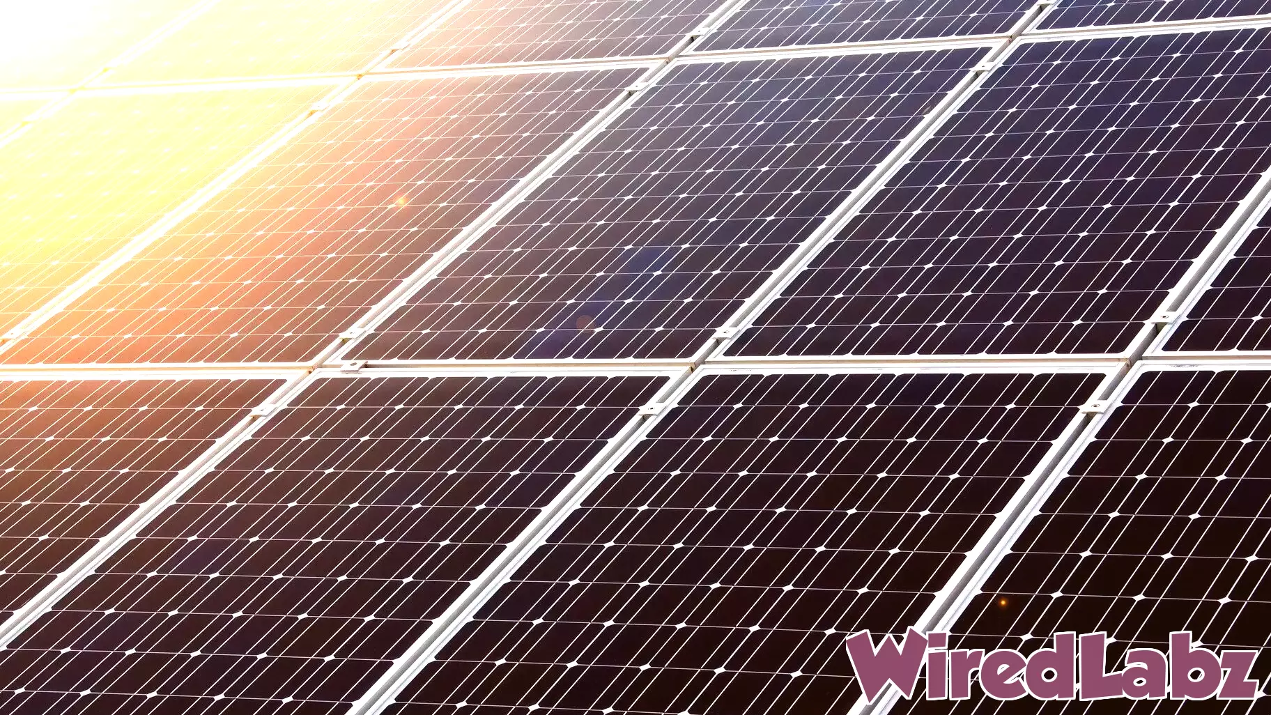 Reluctance to rely on China for green technology could slow climate action