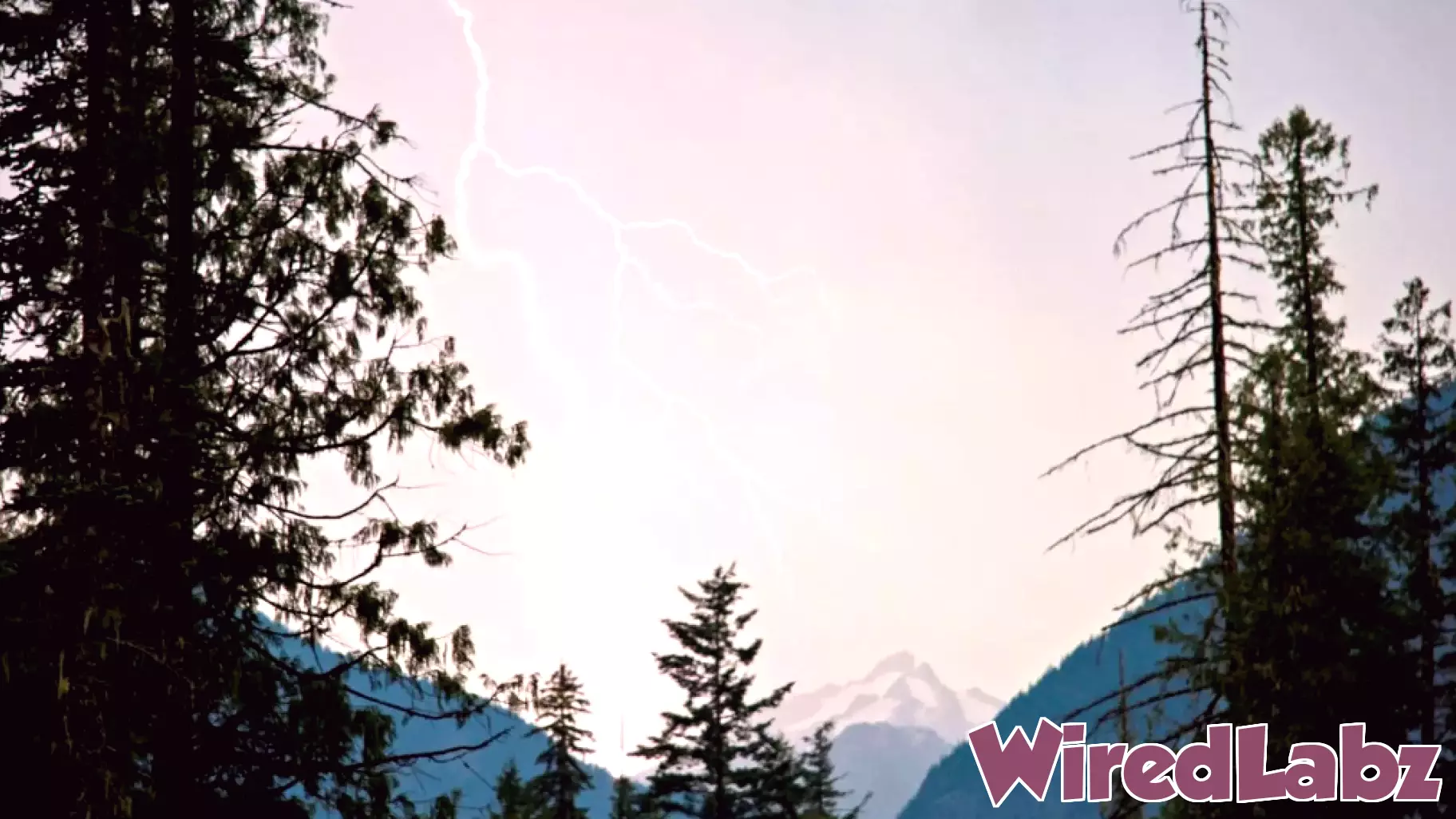 This startup claims it can stop lightning and prevent catastrophic wildfires