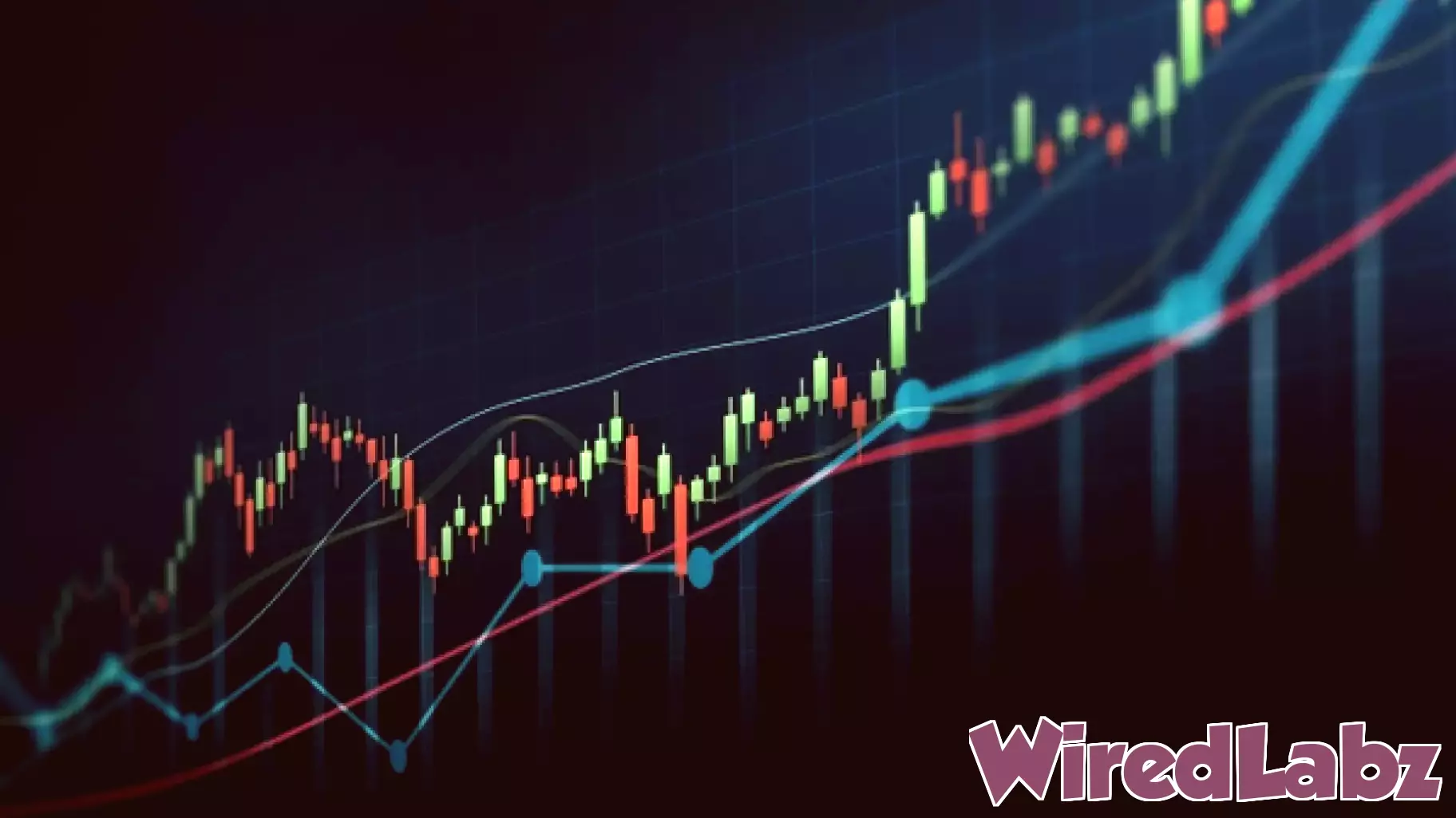 Top performing information technology stocks in the past month