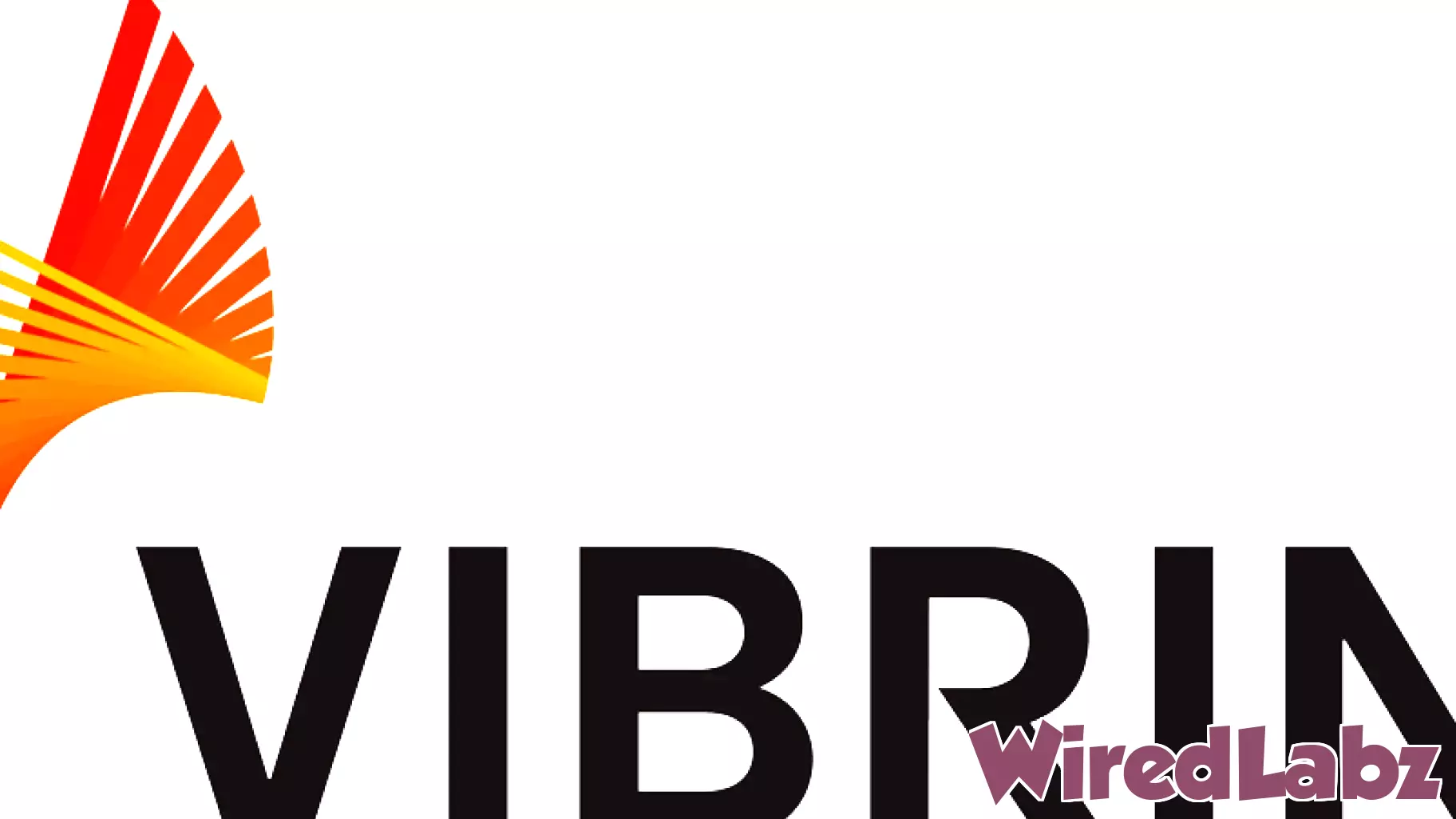 Vibrint Accelerates Growth With $1.2B in Wins Delivering Advanced Technology to National Security Customers