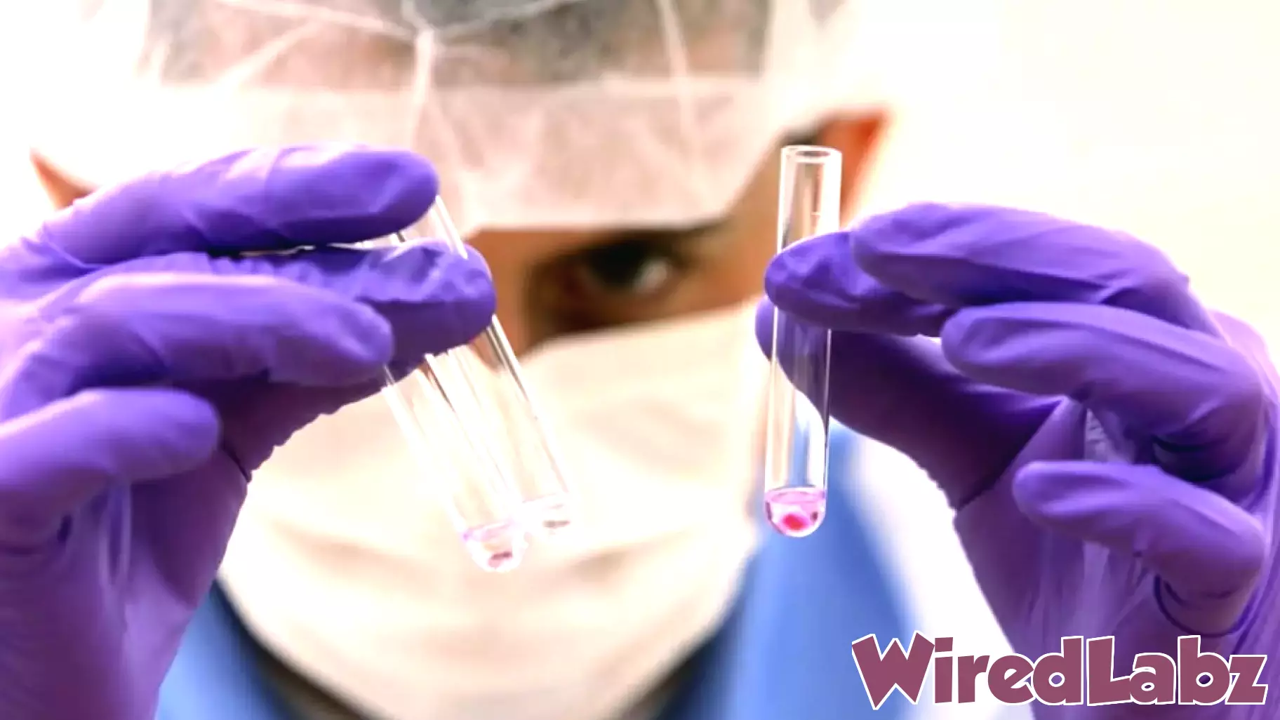 Video Breakthrough DNA technology identifies 9|11 victim's remains nearly 25-years later