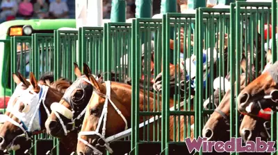 Defendants Respond to Allegations in CAW Lawsuit