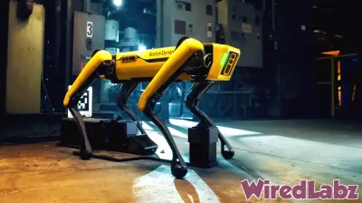 Exploring the Future of Autonomous Technology in Houston