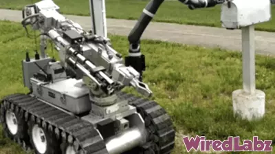 Highlights from the 2025 Science and Technology Year in Review