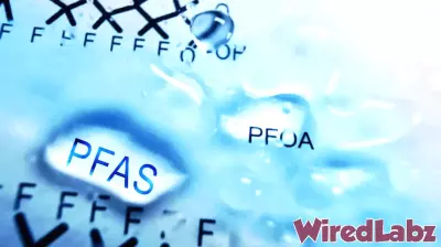 Innovative Eco-Friendly Solution for PFAS Contamination in Water