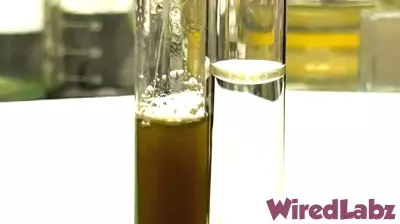 Innovative Water Purification Technology Set to Transform Drinking Water Safety