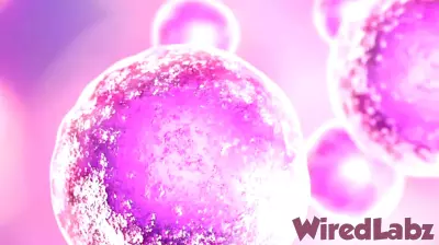 Lisata Therapeutics Forms Strategic Alliance with Catalent for ADC Development
