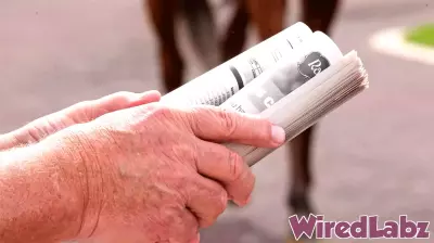 Major Shift in Online Wagering: DRF Bets Transformed into 1/ST Bet Pro